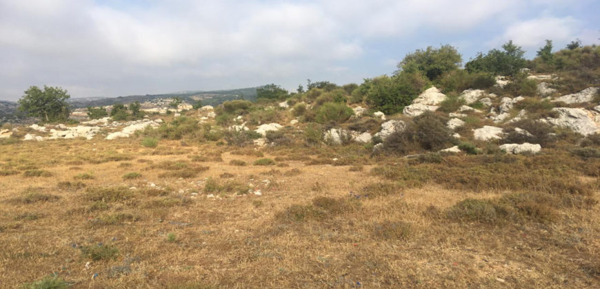 Land for Sale Lehfed Jbeil Area 31840Sqm