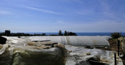 Land for Sale Blat ( Qartaboun ) Jbeil Area 13900Sqm