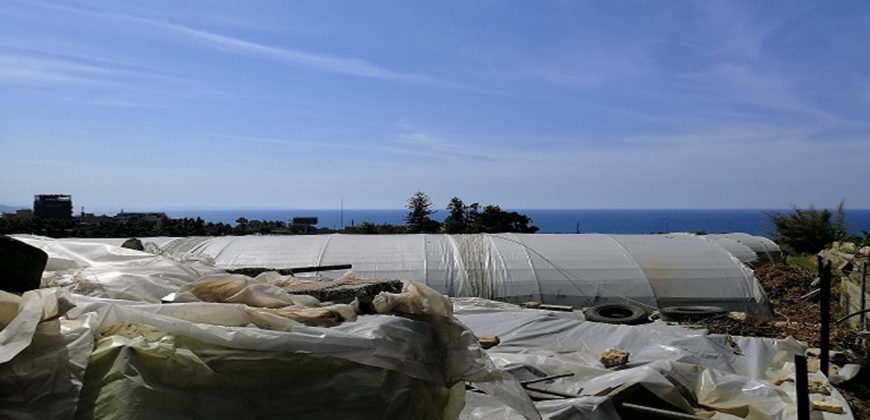 Land for Sale Blat ( Qartaboun ) Jbeil Area 13900Sqm