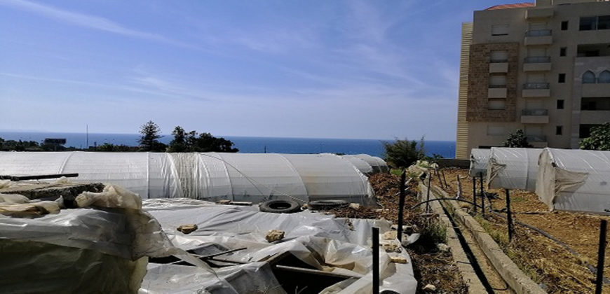 Land for Sale Blat ( Qartaboun ) Jbeil Area 13900Sqm