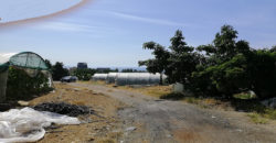 Land for Sale Blat ( Qartaboun ) Jbeil Area 13900Sqm