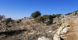Land for Sale Ehmej Jbeil Area 1342Sqm