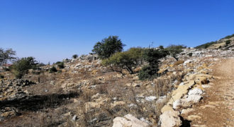 Land for Sale Ehmej Jbeil Area 1342Sqm