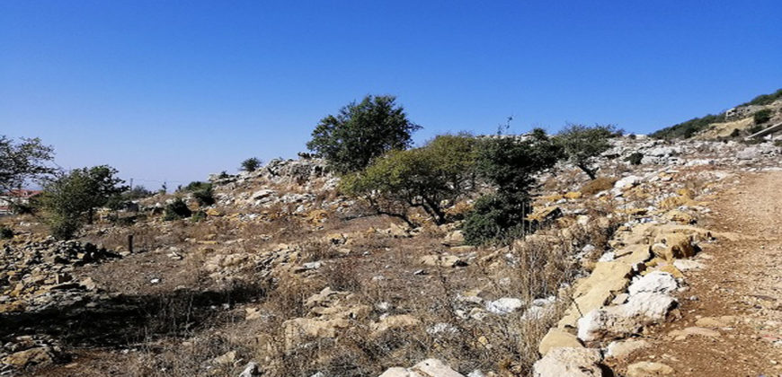 Land for Sale Ehmej Jbeil Area 1342Sqm
