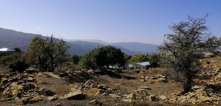 Land for Sale Ehmej Jbeil Area 1342Sqm