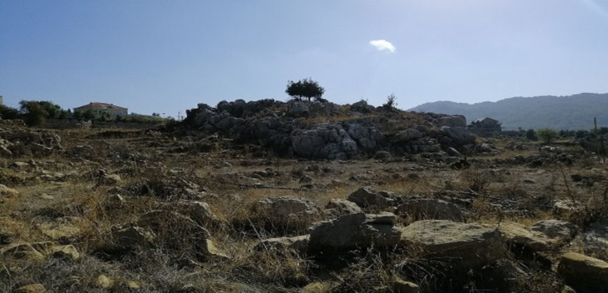 Land for Sale Ehmej Jbeil Area 1405Sqm