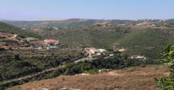 Land for Sale Ain El Delbeh Jbeil Area 29650Sqm