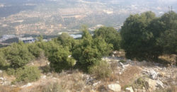 Land for Sale Ain El Delbeh Jbeil Area 29650Sqm