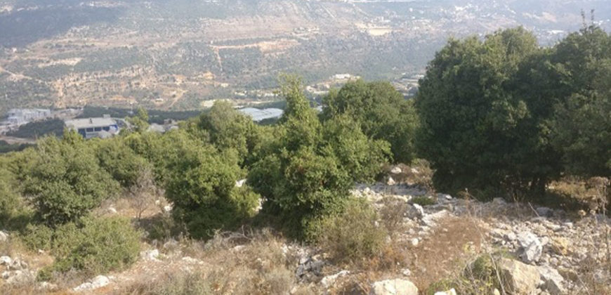 Land for Sale Ain El Delbeh Jbeil Area 29650Sqm