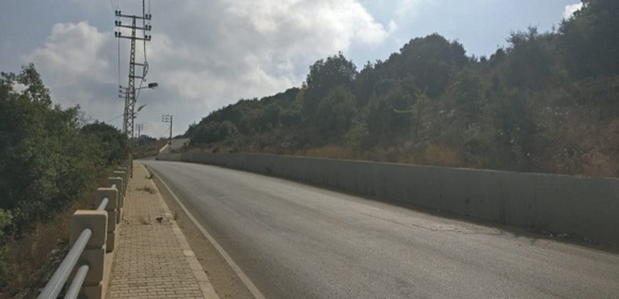 Land for Sale Ain El Delbeh Jbeil Area 29650Sqm