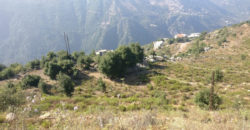 Land for Sale Ain Jrain Jbeil Area 40000Sqm