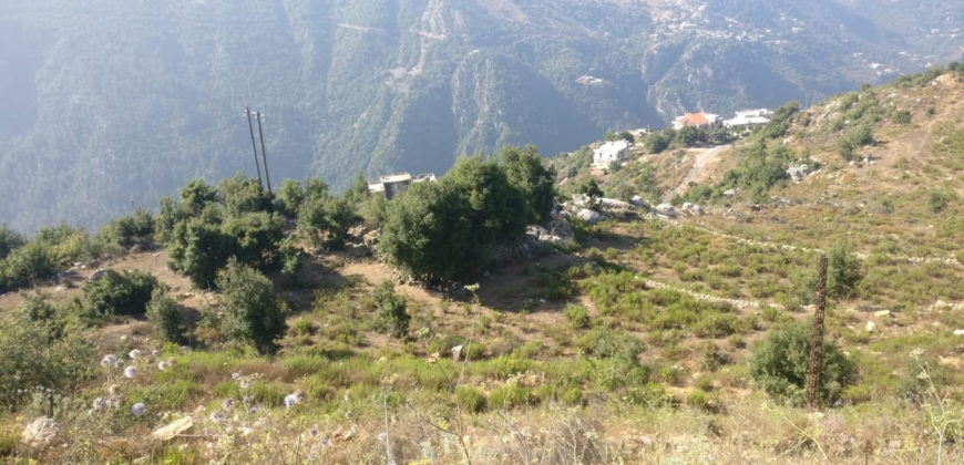 Land for Sale Ain Jrain Jbeil Area 40000Sqm