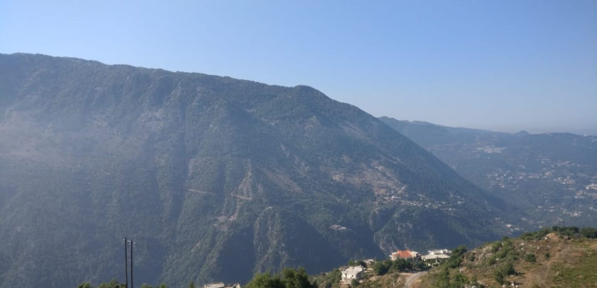 Land for Sale Ain Jrain Jbeil Area 40000Sqm