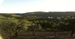 Land for Sale Ain Kfaa Jbeil Area 1645Sqm