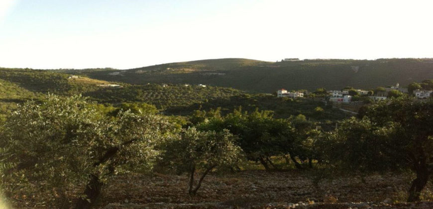 Land for Sale Ain Kfaa Jbeil Area 1645Sqm