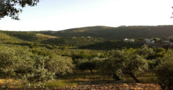 Land for Sale Ain Kfaa Jbeil Area 1645Sqm