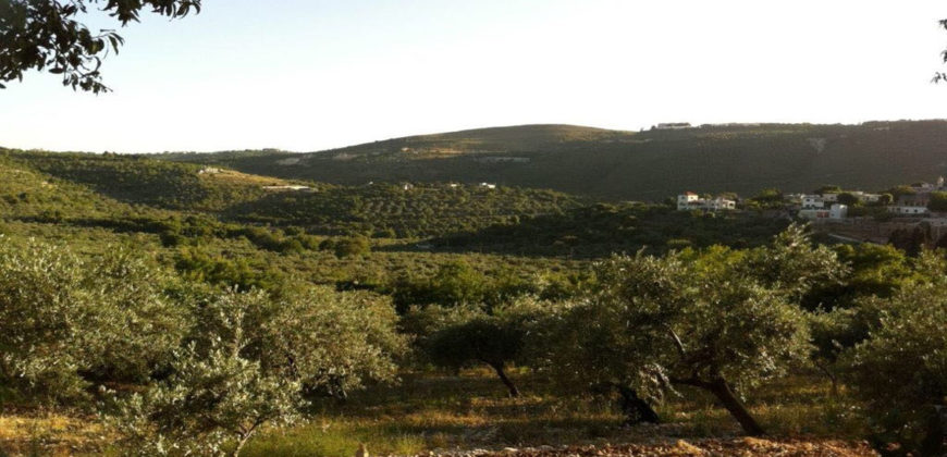 Land for Sale Ain Kfaa Jbeil Area 1645Sqm