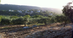 Land for Sale Ain Kfaa Jbeil Area 1645Sqm
