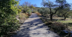 Land for Sale Ain Kfaa Jbeil Area 1645Sqm