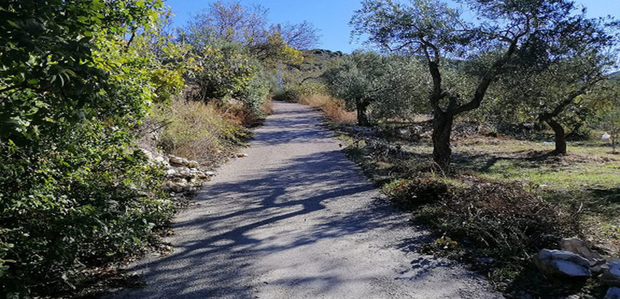Land for Sale Ain Kfaa Jbeil Area 1645Sqm
