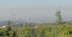 Land for Sale Lehfed Jbeil Area 2737Sqm