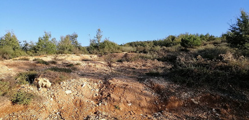 Land for Sale Lehfed Jbeil Area 2737Sqm