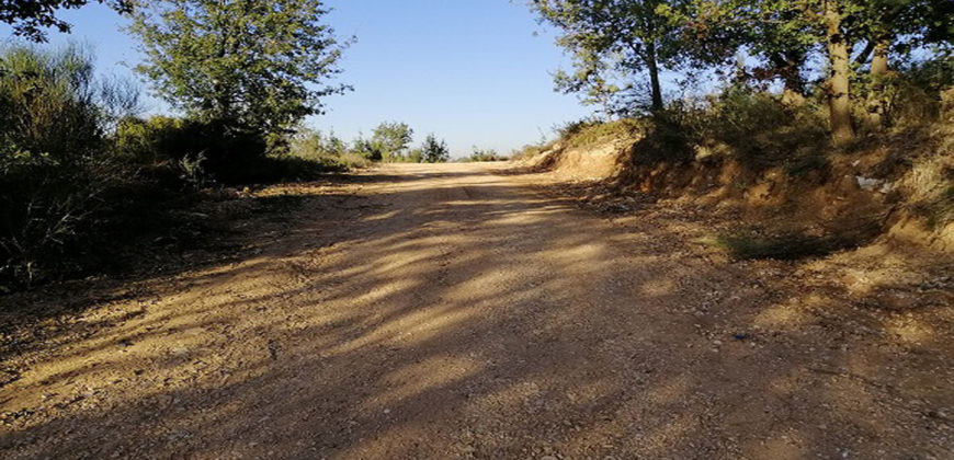 Land for Sale Lehfed Jbeil Area 2737Sqm
