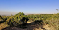 Land for Sale Lehfed Jbeil Area 2737Sqm