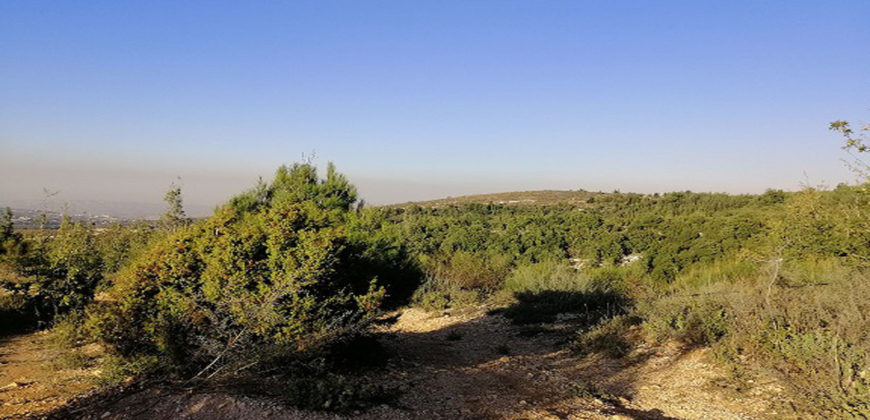 Land for Sale Lehfed Jbeil Area 2737Sqm