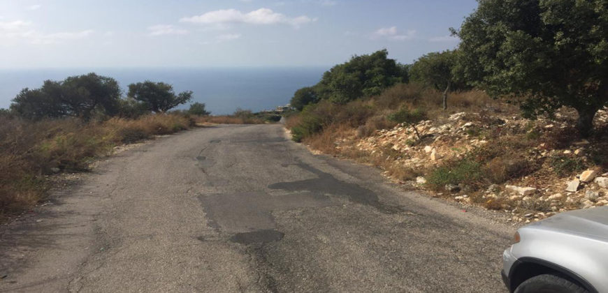 Land for Sale Bekhaaz Jbeil Area 4280Sqm