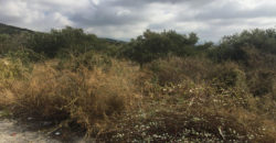 Land for Sale Bekhaaz Jbeil Area 4280Sqm