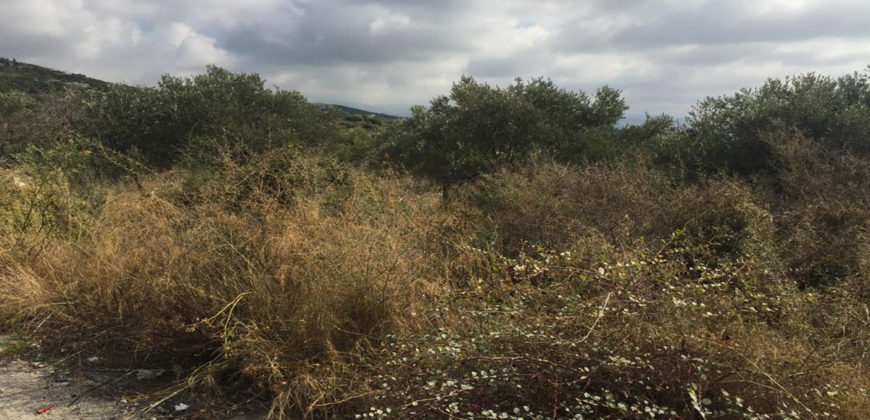 Land for Sale Bekhaaz Jbeil Area 4280Sqm