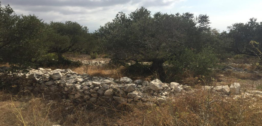 Land for Sale Bekhaaz Jbeil Area 4280Sqm