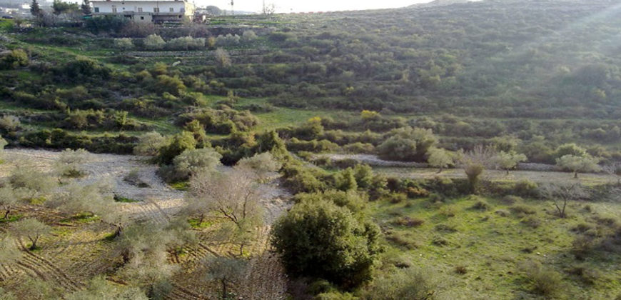 Land for Sale Chamat Jbeil Area 1898Sqm
