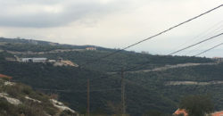 Land for Sale Blat ( Mastita ) Jbeil Area 890Sqm