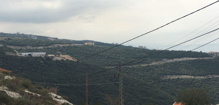 Land for Sale Blat ( Mastita ) Jbeil Area 890Sqm