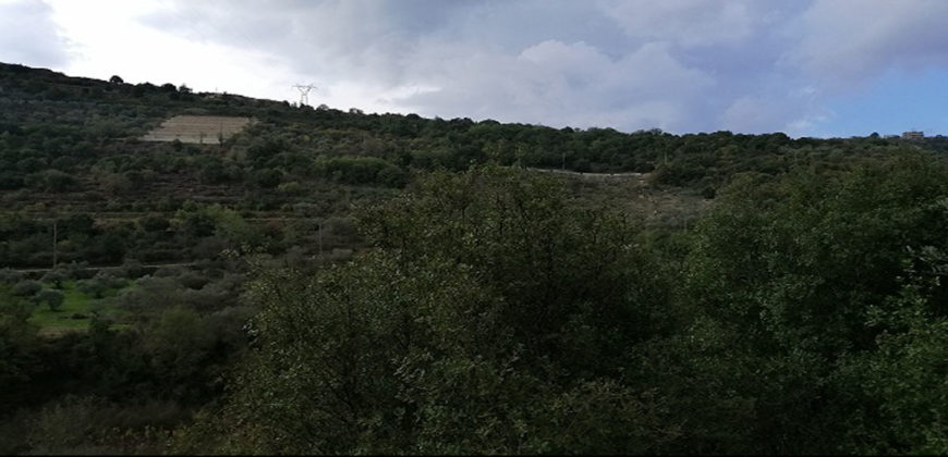 Land for Sale Ghalboun Jbeil Area 3500Sqm