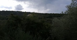 Land for Sale Ghalboun Jbeil Area 3500Sqm