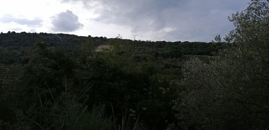Land for Sale Ghalboun Jbeil Area 3500Sqm