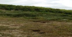 Land for Sale Bejjeh Jbeil Area 13200Sqm