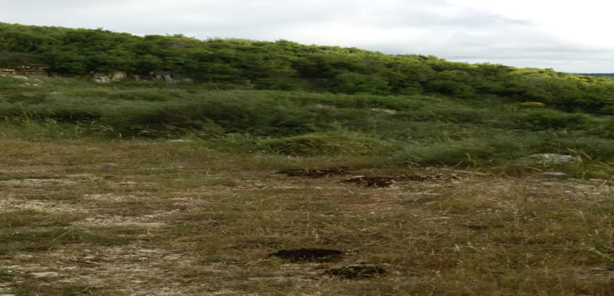 Land for Sale Bejjeh Jbeil Area 13200Sqm