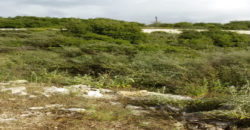 Land for Sale Bejjeh Jbeil Area 13200Sqm