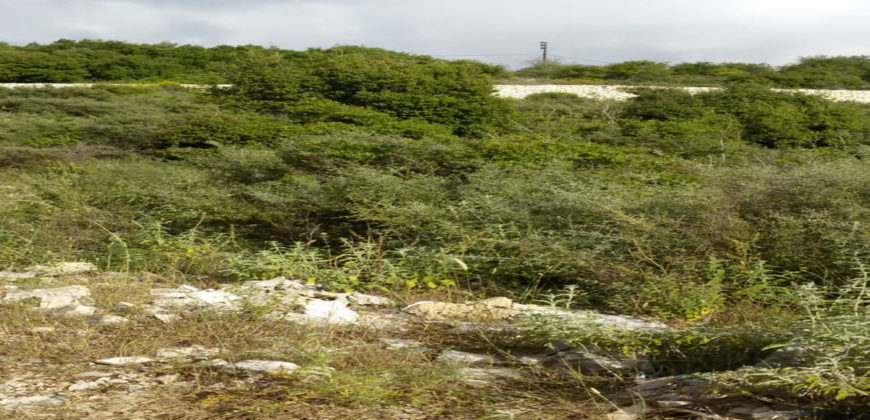 Land for Sale Bejjeh Jbeil Area 13200Sqm