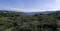 Land for Sale Bejjeh Jbeil Area 3650Sqm