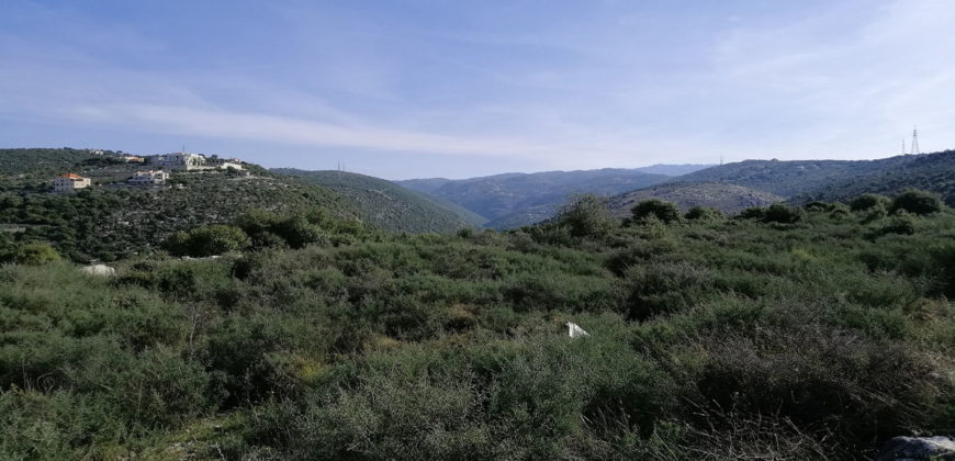 Land for Sale Bejjeh Jbeil Area 3650Sqm