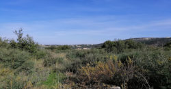 Land for Sale Bejjeh Jbeil Area 3650Sqm