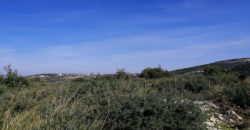 Land for Sale Bejjeh Jbeil Area 3650Sqm