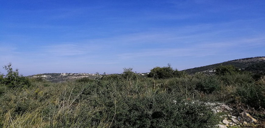 Land for Sale Bejjeh Jbeil Area 3650Sqm