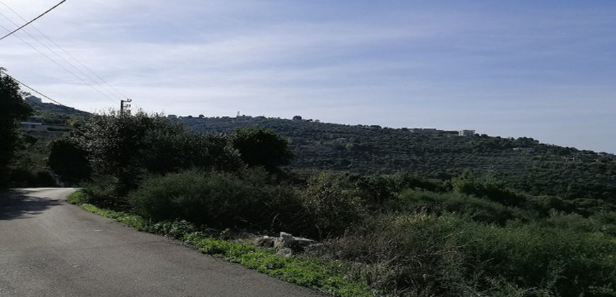 Land for Sale Bejjeh Jbeil Area 3650Sqm