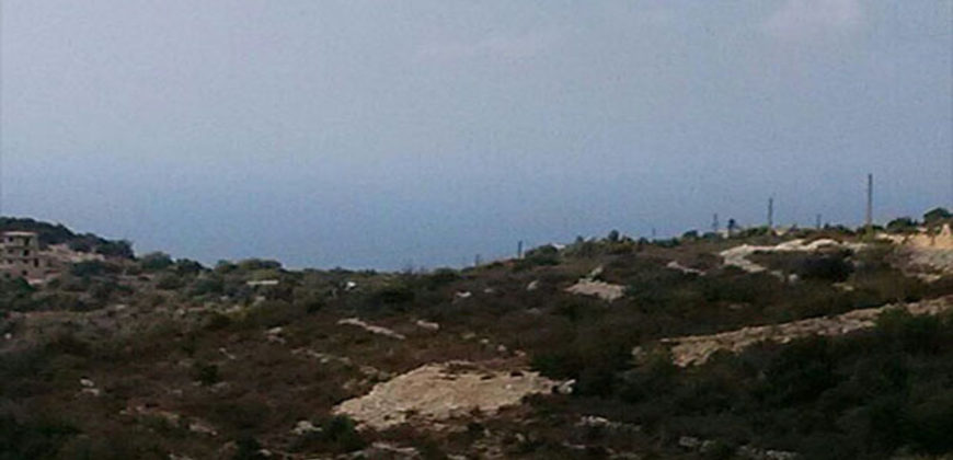 Land for Sale Gharzouz Jbeil Area 2328Sqm